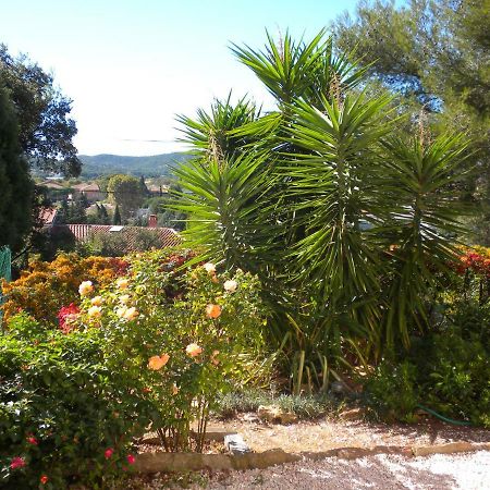 Ecrin De Verdure Sur Le Lavandou - Classement Tourisme 3 Etoiles ภายนอก รูปภาพ